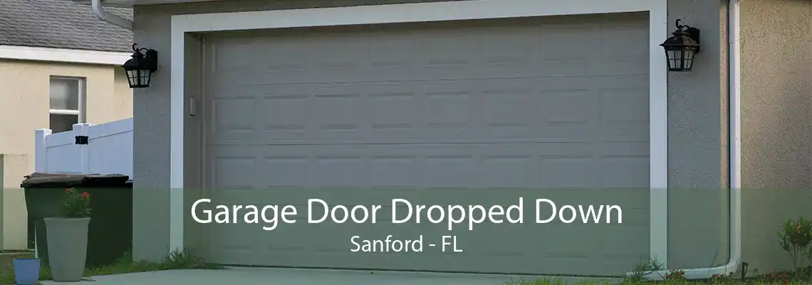 Garage Door Dropped Down Sanford - FL