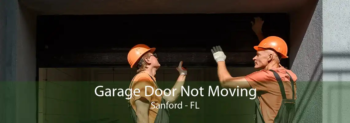 Garage Door Not Moving Sanford - FL