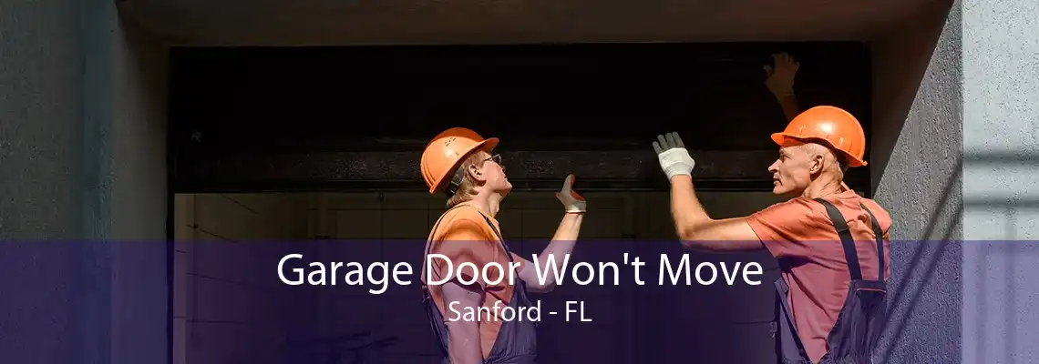 Garage Door Won't Move Sanford - FL